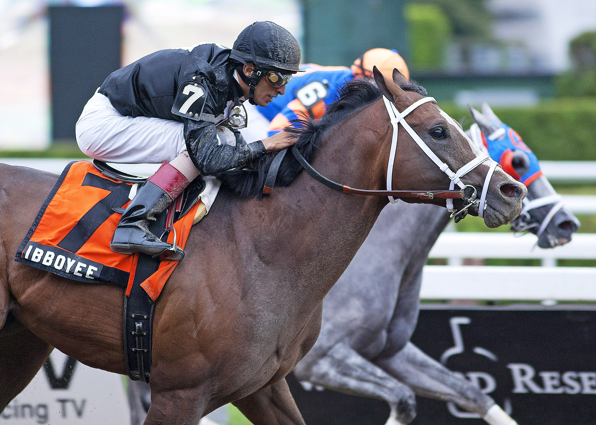 Todd Pletcher Racing:: Media Gallery and Photos